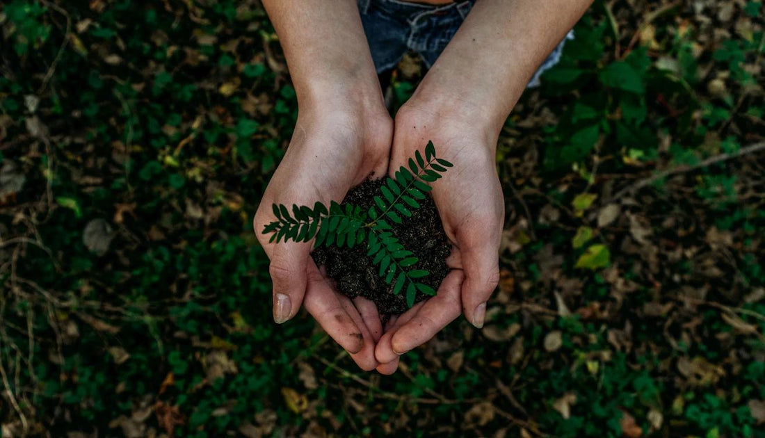 We are eco-friendly