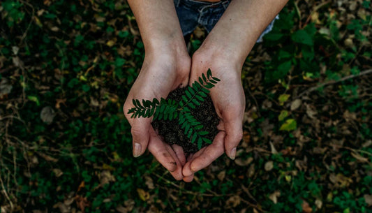 We are eco-friendly