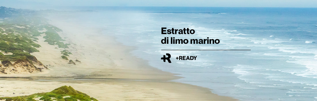 Estratto di limo: dal mare alla cosmesi