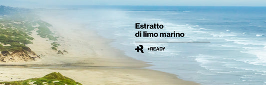 Estratto di limo: dal mare alla cosmesi